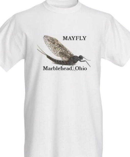 Mayfly Marblehead, Ohio